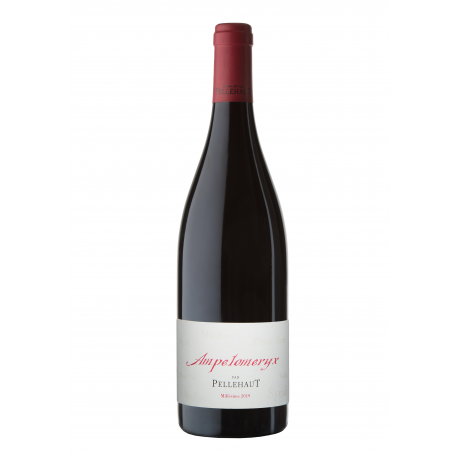 Rouge 2020 Vin de France Ampéloméryx 