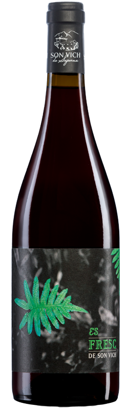 Tempranillo/Merlot Blend 2022 Mallorca Es Fresc De Son Vich
