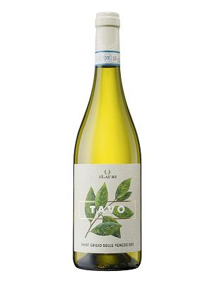Pinot Grigio 2025 Tavo Ilauri