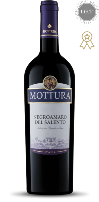 Negroamaro del Salento IGT 2024 Villa Mottura