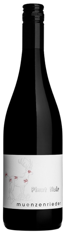 Pinot Noir Reserve 2022 Burgenland Muenzenrieder
