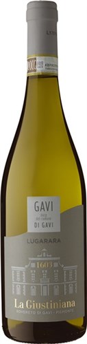 Gavi di Gavi 2025 Piemonte  La Guistiniana Lugarara