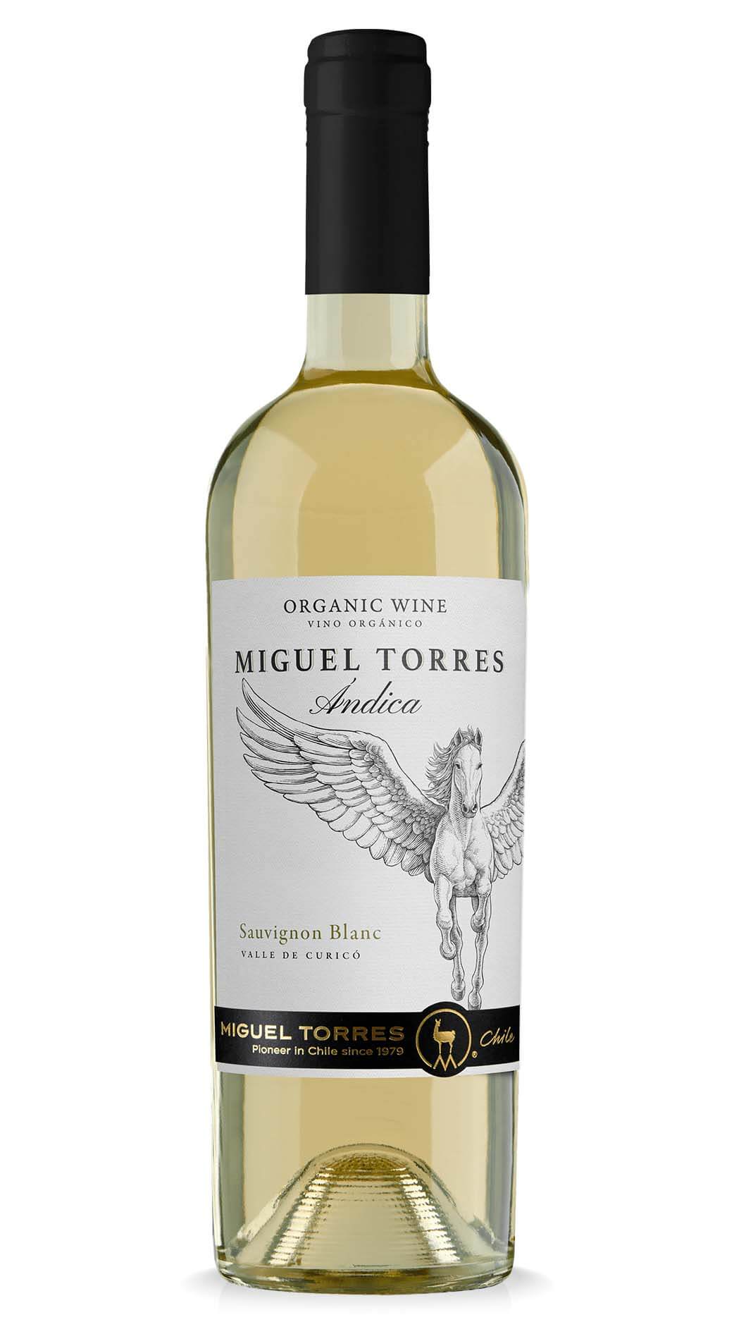 Sauvignon Blanc 2022 Curicó Valley  Miguel Torres Ándica