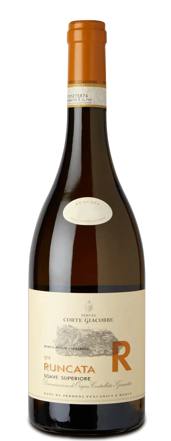 Soave Superiore DOCG Roncà 2023 Tenuta Corte Giacobbe