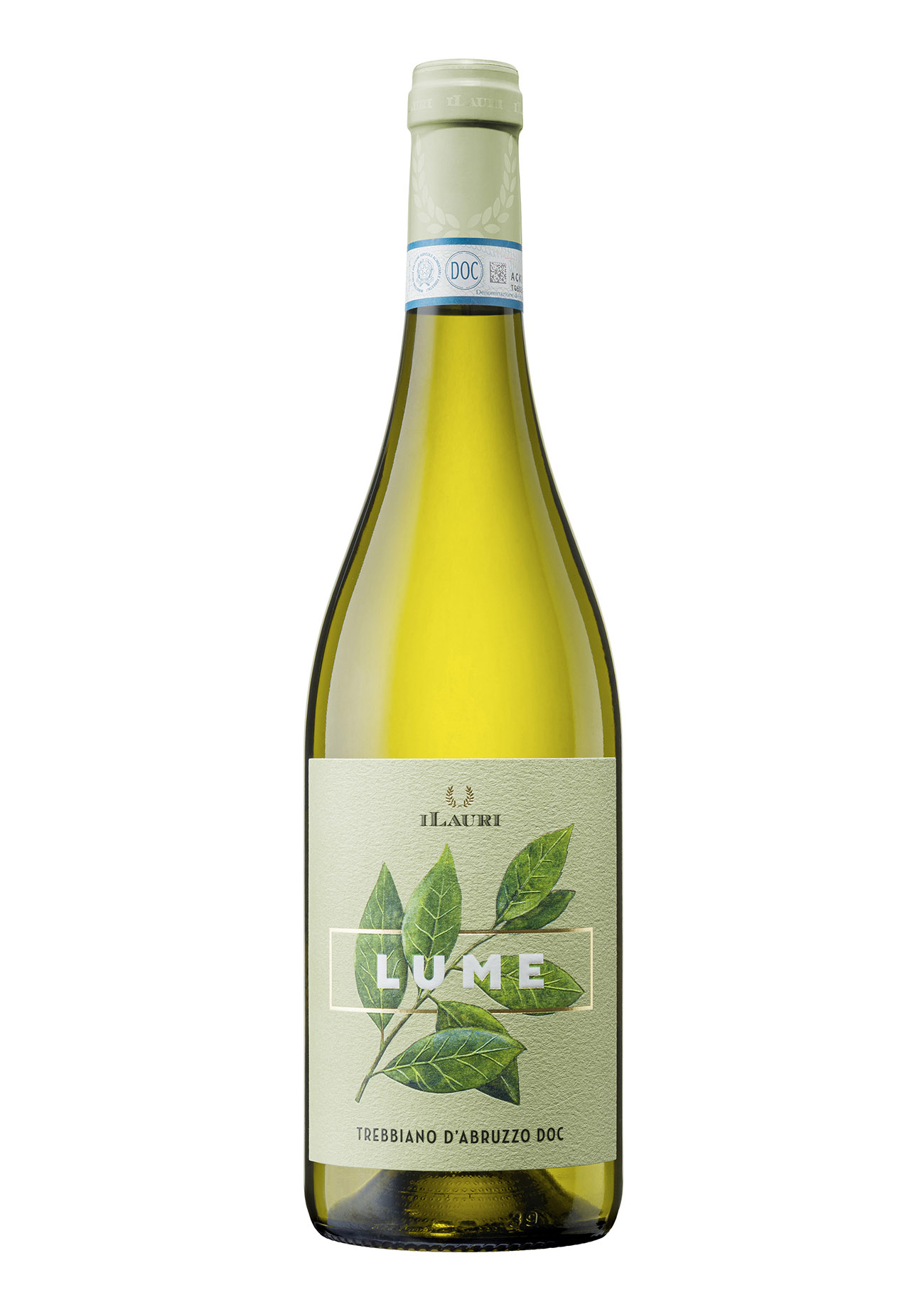 Trebbiano D'Abruzzo 2025 Lume Ilauri
